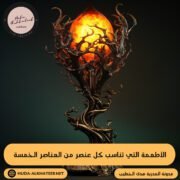 الأطعمة التي تناسب كل عنصر
